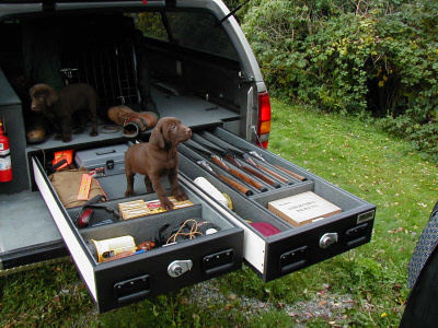 TruckVault With Chocolate Lab Hunting Dogs