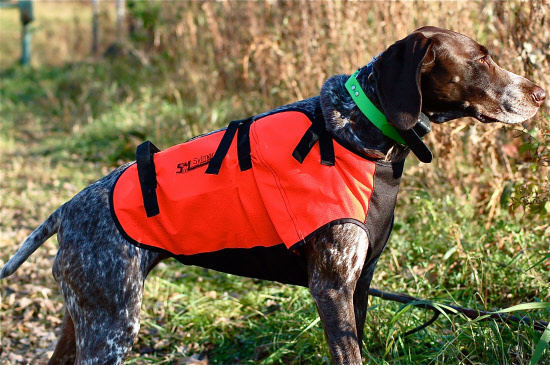 dog chest protection vest