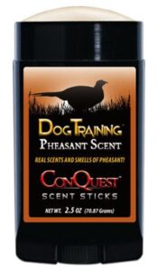 Hunting Dog Training