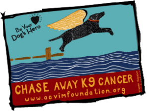 Chase_Away_K9_Cancer