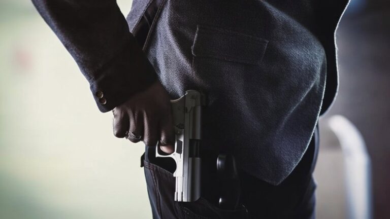 gun rights and limits