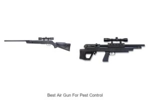 Top 12 Best Air Gun for Pest Control You Need Now!