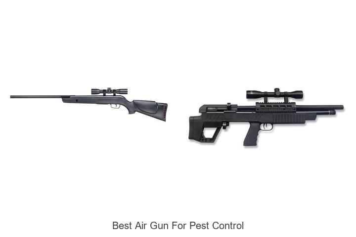Top 12 Best Air Gun for Pest Control You Need Now!