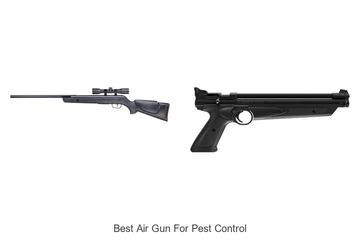 Top 12 Best Air Gun For Pest Control You Can’t Miss!