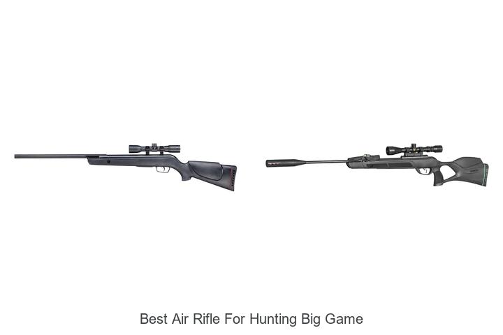 Top 12 Best Air Rifle For Hunting Big Game You Must See