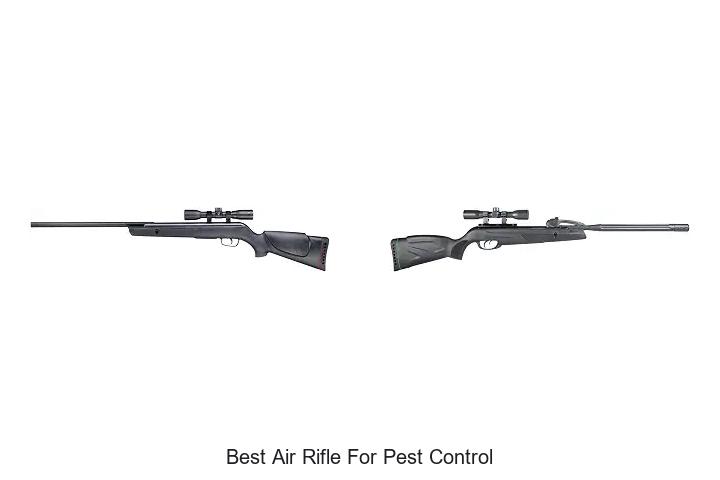 Top 12 Best Air Rifle For Pest Control That Actually Works