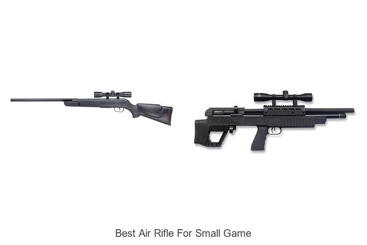 Top 12 Best Air Rifle For Small Game That Will Surprise You