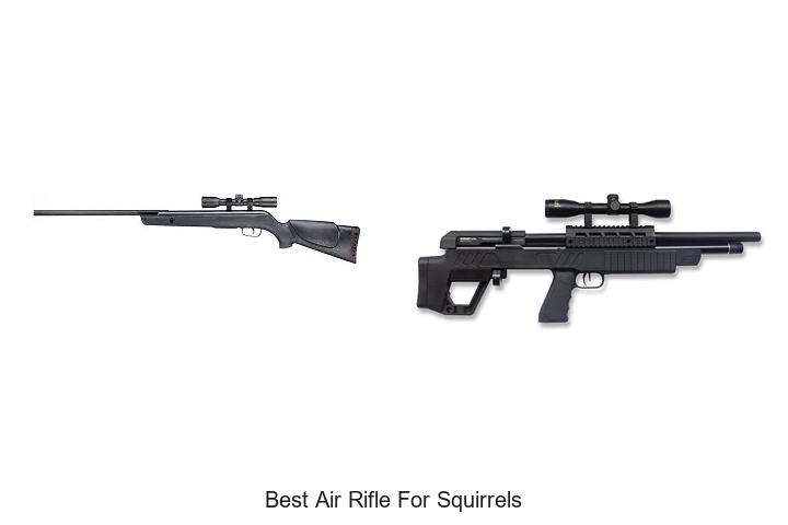 Top 15 Best Air Rifle For Squirrels You Can’t Miss