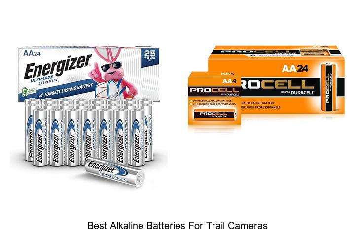 Top 12 Best Alkaline Batteries For Trail Cameras You Need!