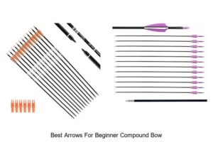 Top 12 Best Arrows For Beginner Compound Bow Revealed!