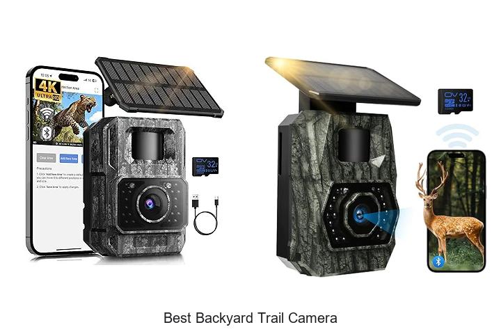 Top 15 Best Backyard Trail Camera That Will Blow Your Mind