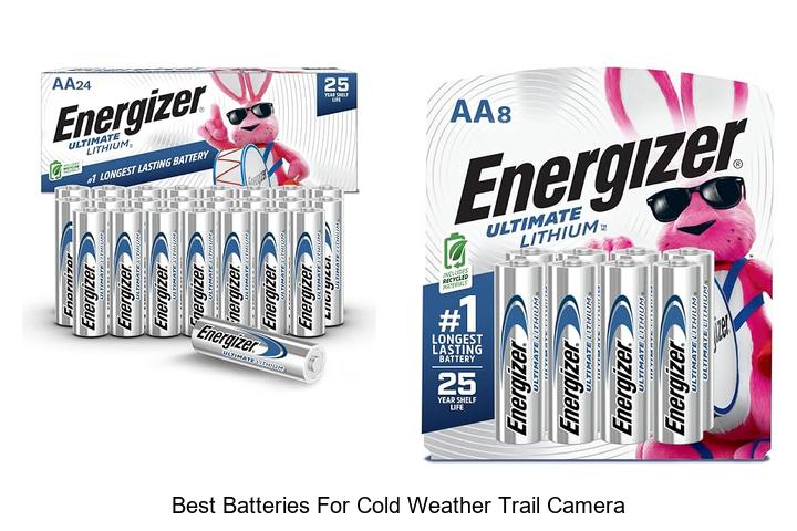 Top 15 Best Batteries For Cold Weather Trail Camera Revealed!