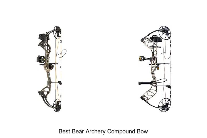 Top 15 Best Bear Archery Compound Bow You Can’t Miss