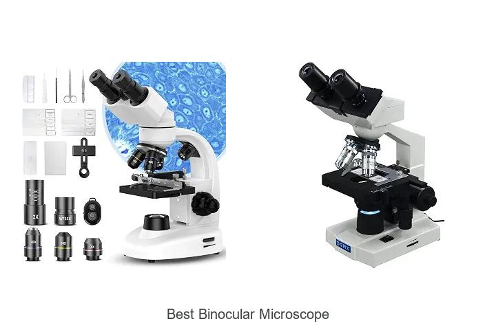 Top 15 Best Binocular Microscope You Can’t Miss Today