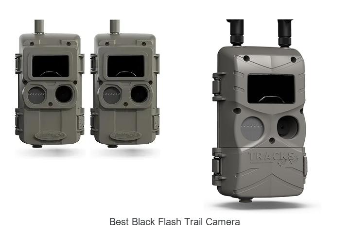 Top 12 Best Black Flash Trail Camera That Hunters Love!