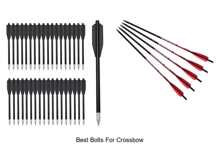 Top 12 Best Bolts for Crossbow That Dominate Accuracy!