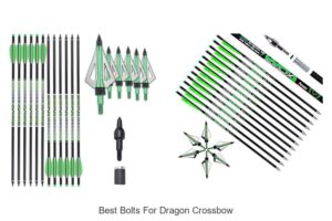 Top 12 Best Bolts for Dragon Crossbow That Dominate Targets