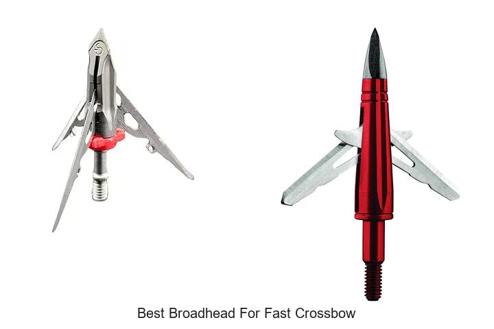 Top 12 Best Broadhead For Fast Crossbow That Saves Shots!
