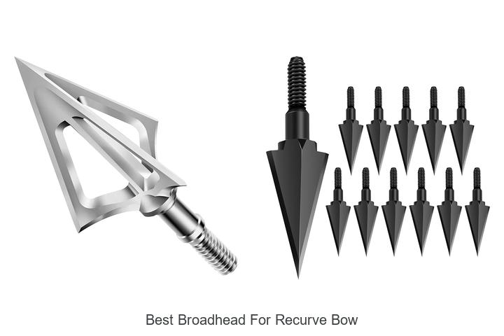 Top 12 Best Broadhead for Recurve Bow You Can’t Miss!