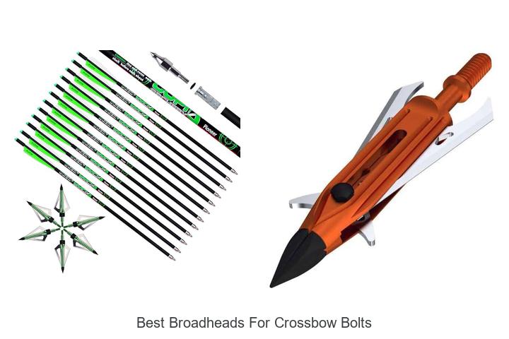 Top 12 Best Broadheads for Crossbow Bolts That Dominate