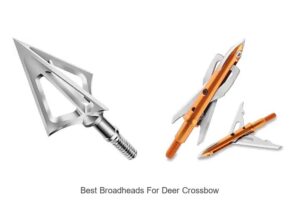 Top 12 Best Broadheads for Deer Crossbow That Dominate!