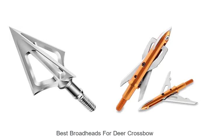 Top 12 Best Broadheads for Deer Crossbow That Dominate!