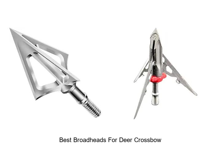 Top 12 Best Broadheads for Deer Crossbow That Crush Bones!