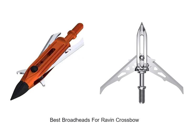 Top 12 Best Broadheads For Ravin Crossbow You Must Try!