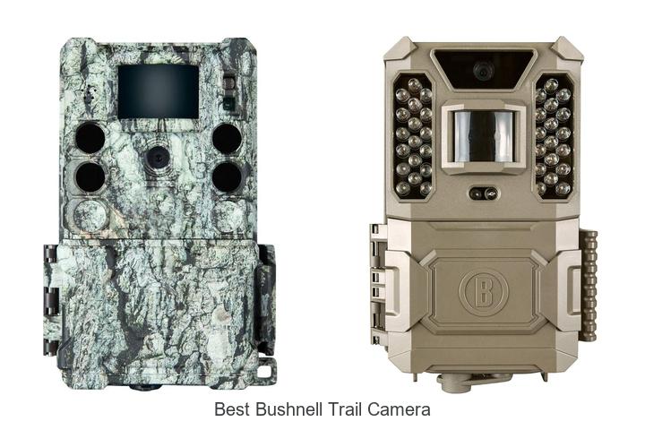 Top 12 Best Bushnell Trail Camera Picks You Can’t Miss