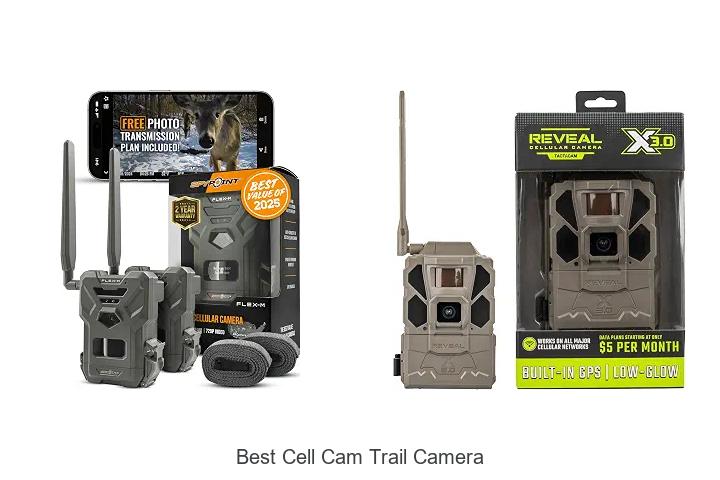 Top 12 Best Cell Cam Trail Camera You Can’t Miss Today!