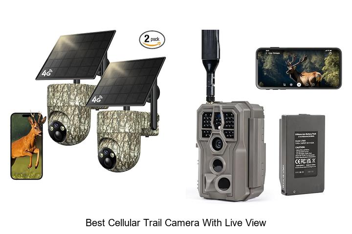 Top 12 Best Cellular Trail Camera With Live View You Need!