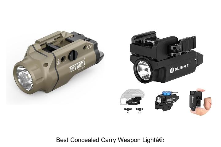 Top 12 Best Concealed Carry Weapon Light You Need Now