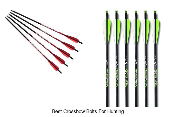 Top 15 Best Crossbow Bolts for Hunting That Dominate Targets