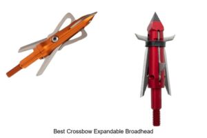 Top 12 Best Crossbow Expandable Broadhead That Dominate