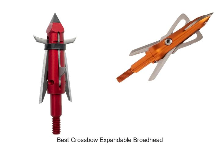 Top 12 Best Crossbow Expandable Broadhead You Need Now