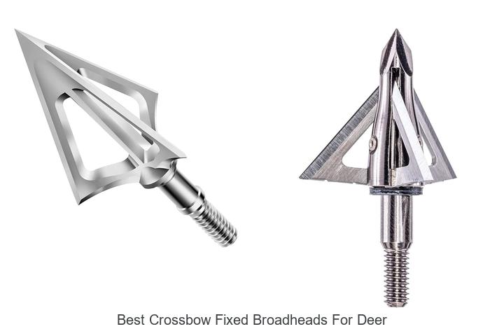 Top 12 Best Crossbow Fixed Broadheads for Deer That Kill!