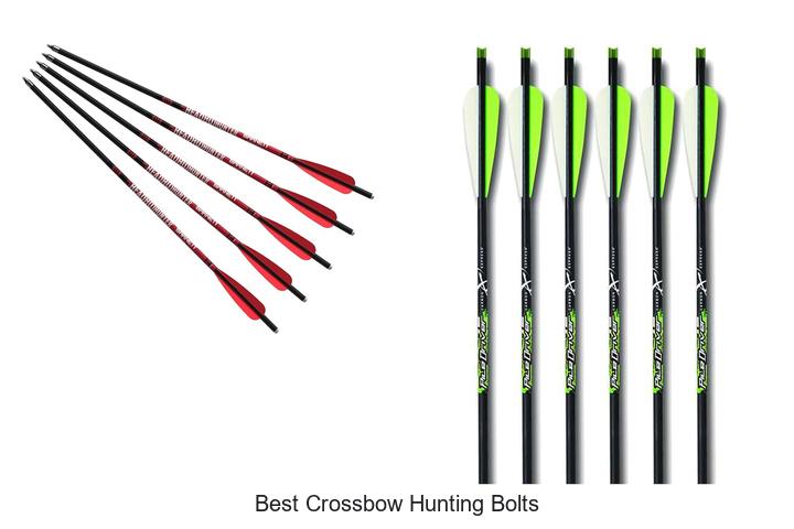 Top 12 Best Crossbow Hunting Bolts You Can’t Miss Now
