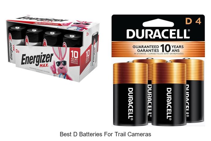 Top 12 Best D Batteries for Trail Cameras That Last!