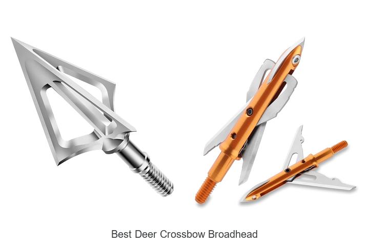 Top 12 Best Deer Crossbow Broadhead That Hunters Swear By