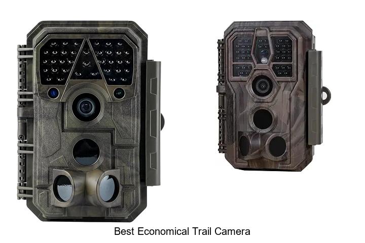 Top 15 Best Economical Trail Camera Deals You Can’t Miss