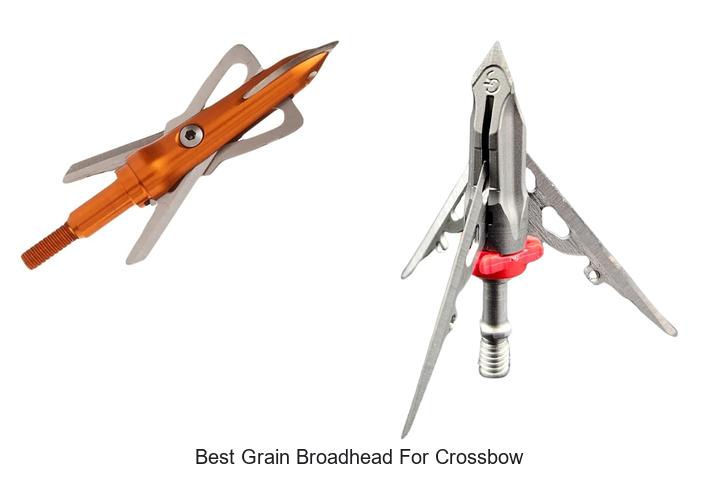 Top 12 Best Grain Broadhead for Crossbow That Kill Fast