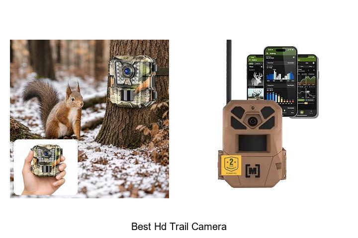 Top 12 Best HD Trail Camera That Hunters Swear By!