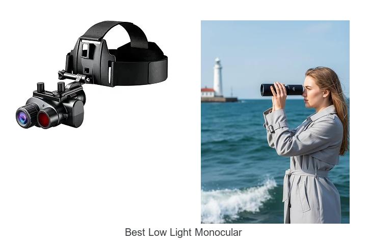 Top 15 Best Low Light Monoculars That Will Blow Your Mind