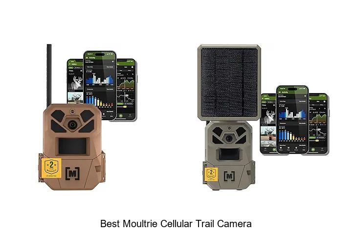 Top 12 Best Moultrie Cellular Trail Camera Deals Revealed!