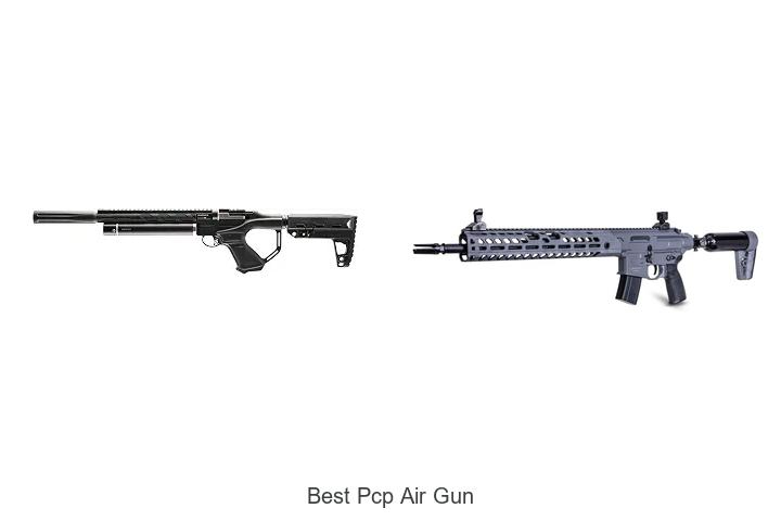 Top 12 Best PCP Air Gun That Will Blow Your Mind Today