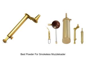Top 12 Best Powder For Smokeless Muzzleloader You Need Now