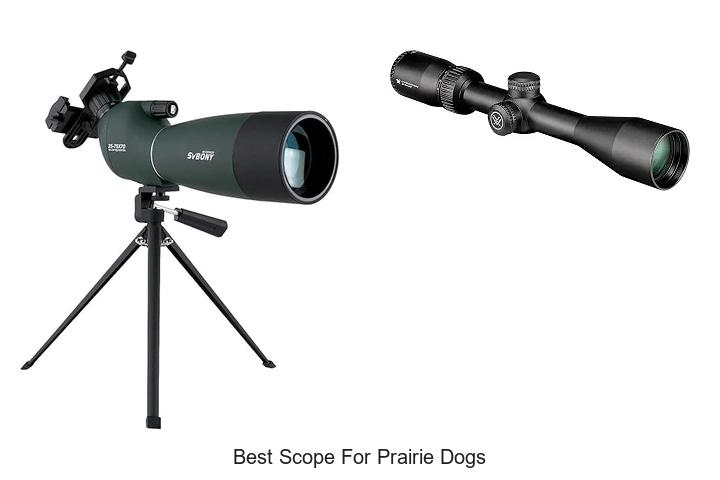Top 12 Best Scope For Prairie Dogs You Can’t Miss Today