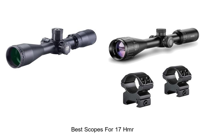 Top 12 Best Scopes for 17 HMR That Will Blow Your Mind