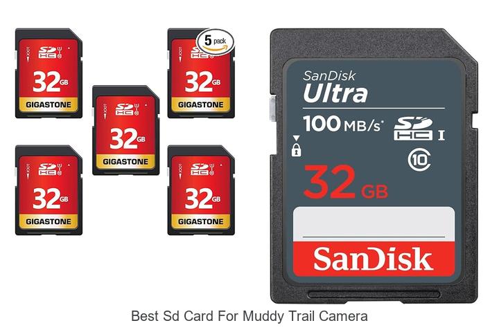 Top 12 Best SD Card For Muddy Trail Camera You Need Now