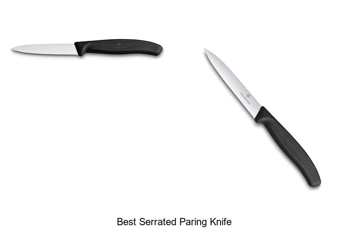Top 12 Best Serrated Paring Knife That Will Blow Your Mind